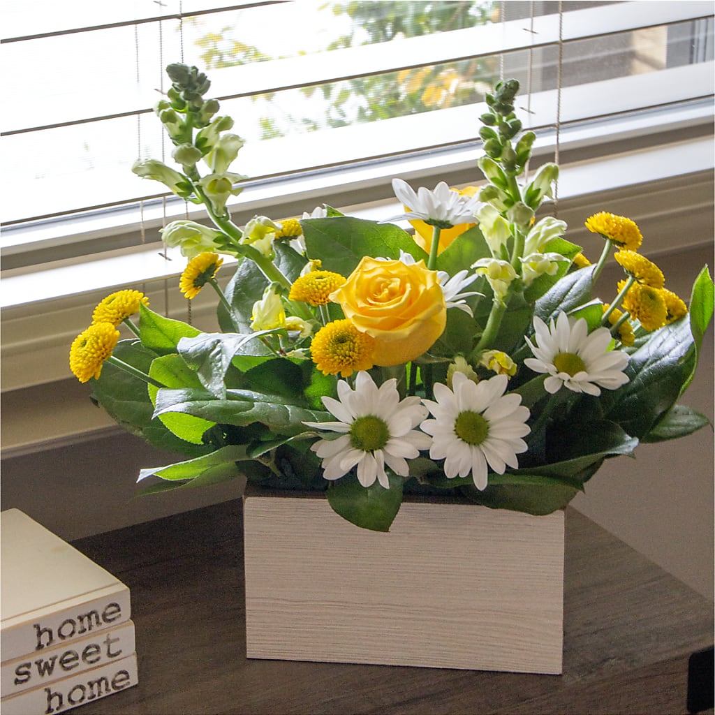 Sun Salutation Box Bouquet –  St Lucie Flower Venue And Gifts, Fort Pierce FL