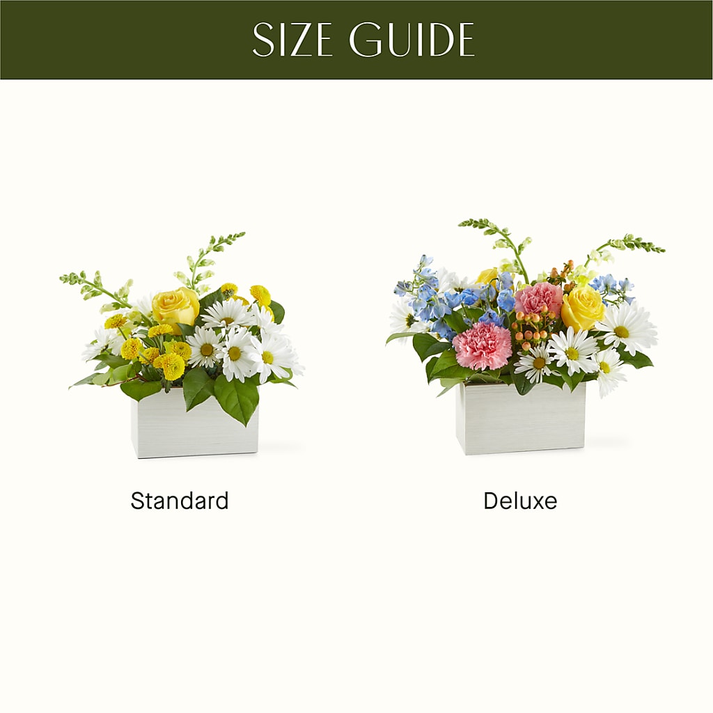 Sun Salutation Box Bouquet –  St Lucie Flower Venue And Gifts, Fort Pierce FL
