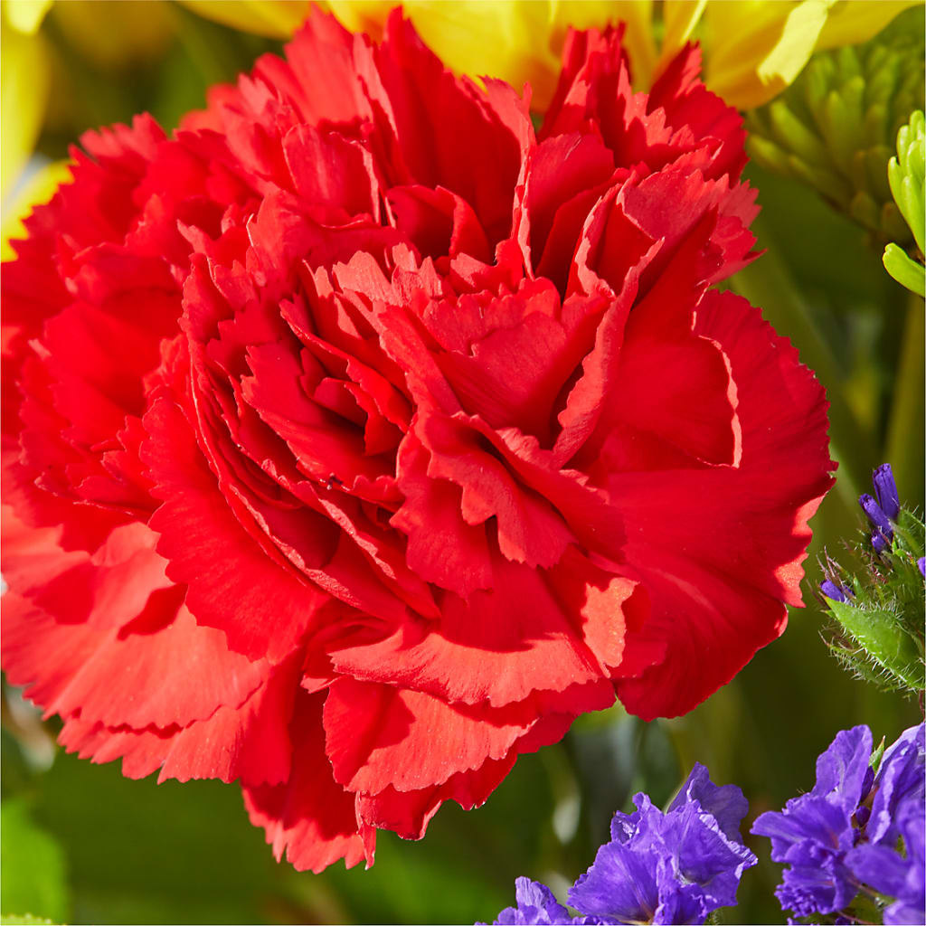 Brighter Days Bouquet –  St Lucie Flower Venue And Gifts, Fort Pierce FL