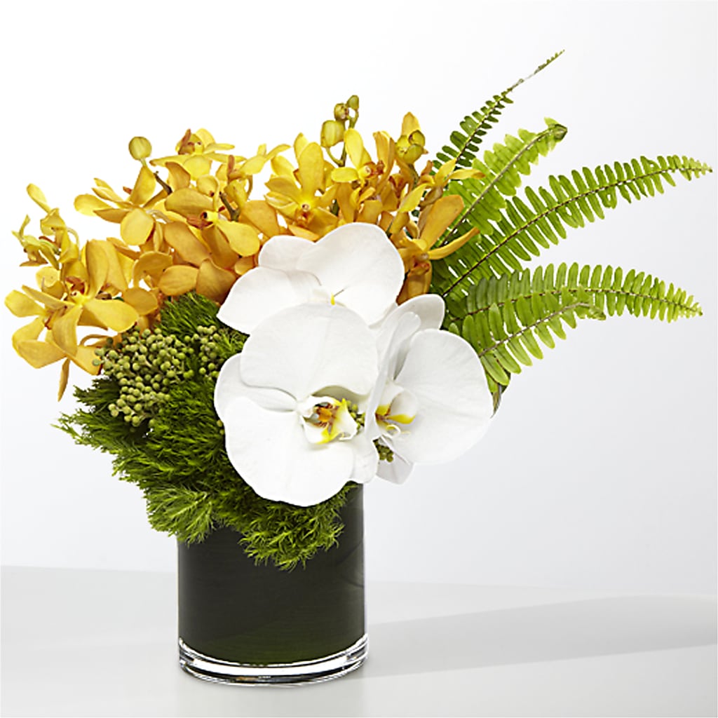 The Tropics –  St Lucie Flower Venue And Gifts, Fort Pierce FL