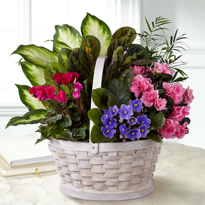 Peaceful Garden Planter –  St Lucie Flower Venue And Gifts, Fort Pierce FL