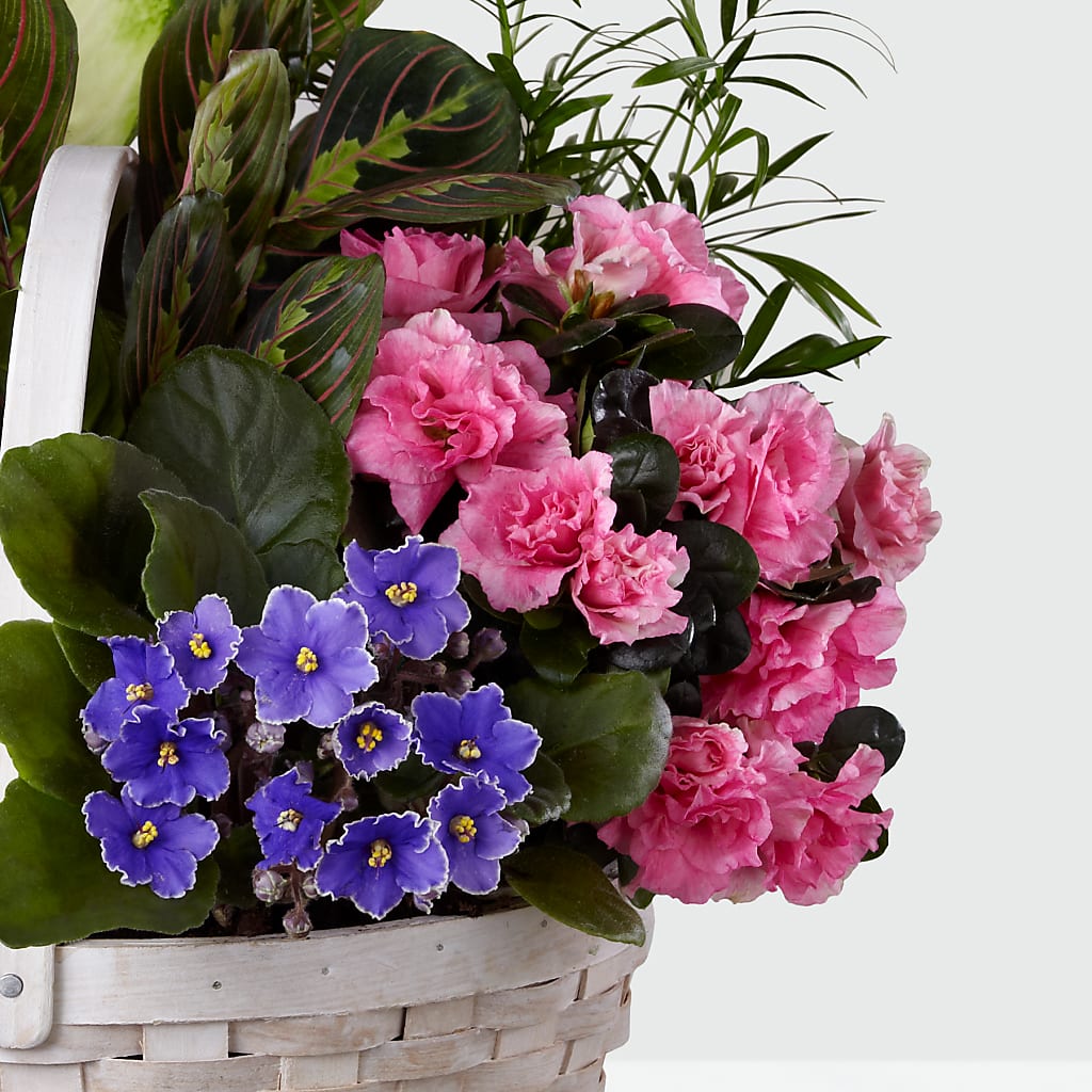 Peaceful Garden Planter –  St Lucie Flower Venue And Gifts, Fort Pierce FL