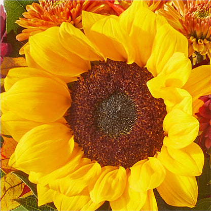 Sunny Side Bouquet –  St Lucie Flower Venue And Gifts, Fort Pierce FL